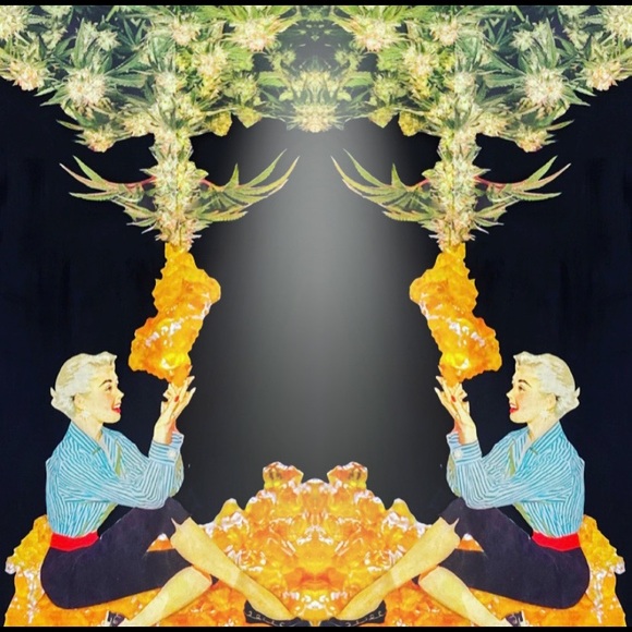 Closet Savant - Picture 5 of 11